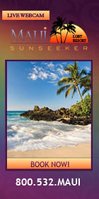 mauisunseeker-Banner