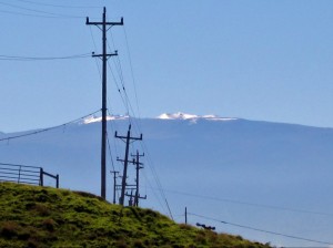 Mauna Kea MM